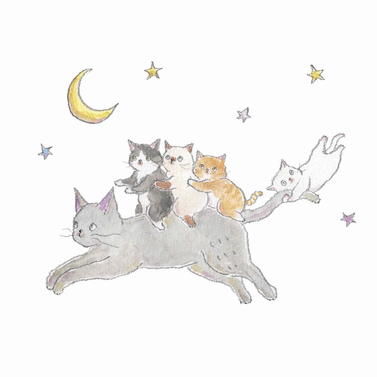 TOCOROCOMUGI トコロコムギ tweet media