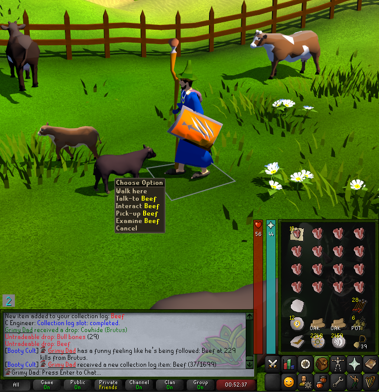 grimy.ranarr tweet media