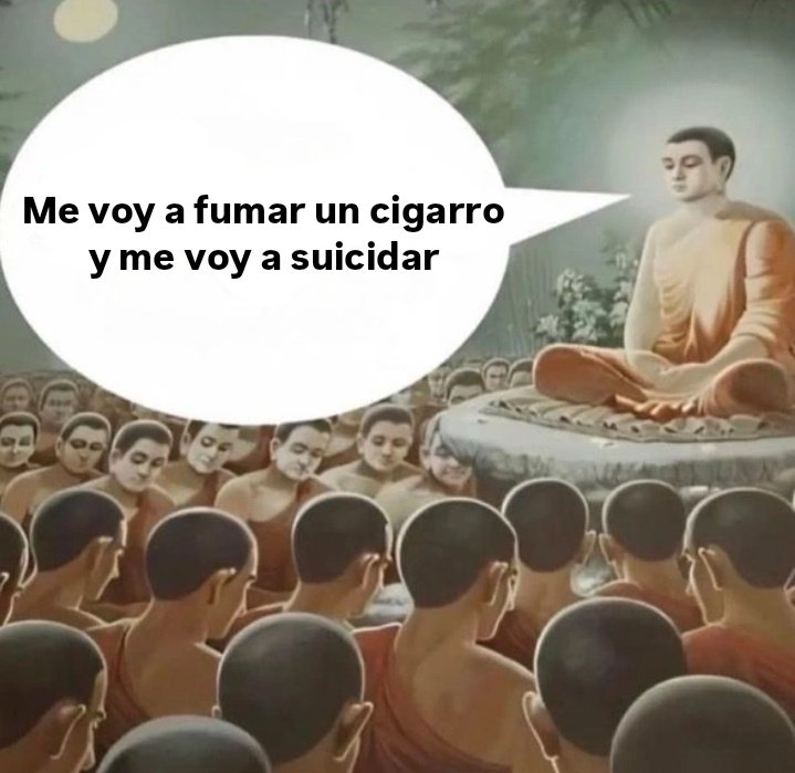 𓆩 luis 𓆪 tweet media