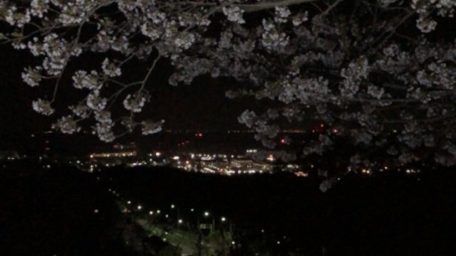 ZeNrA(ぜんら) tweet media