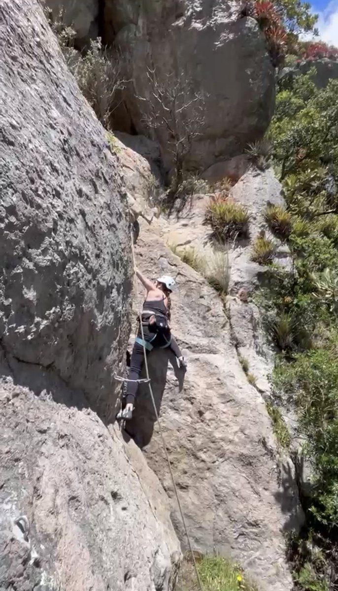 Jessy Freire Manzano tweet media