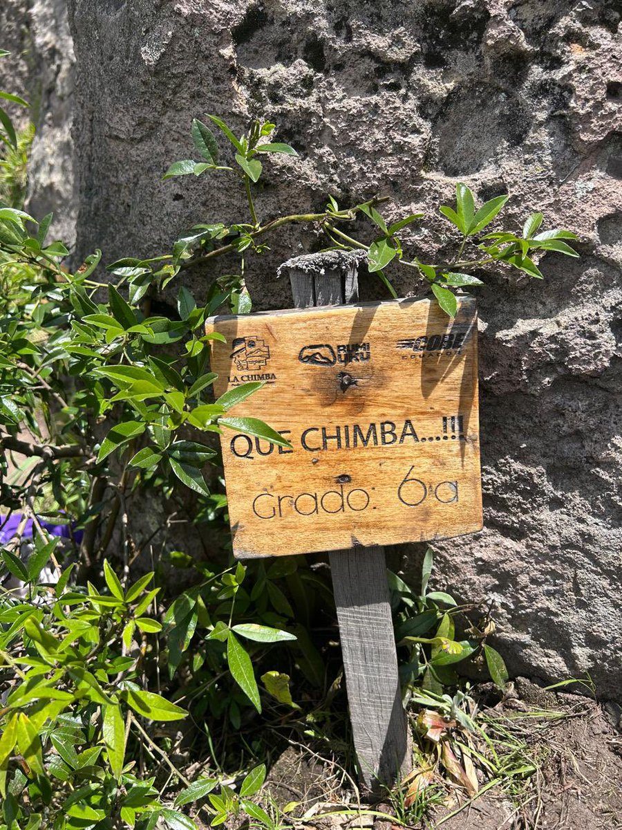 Jessy Freire Manzano tweet media