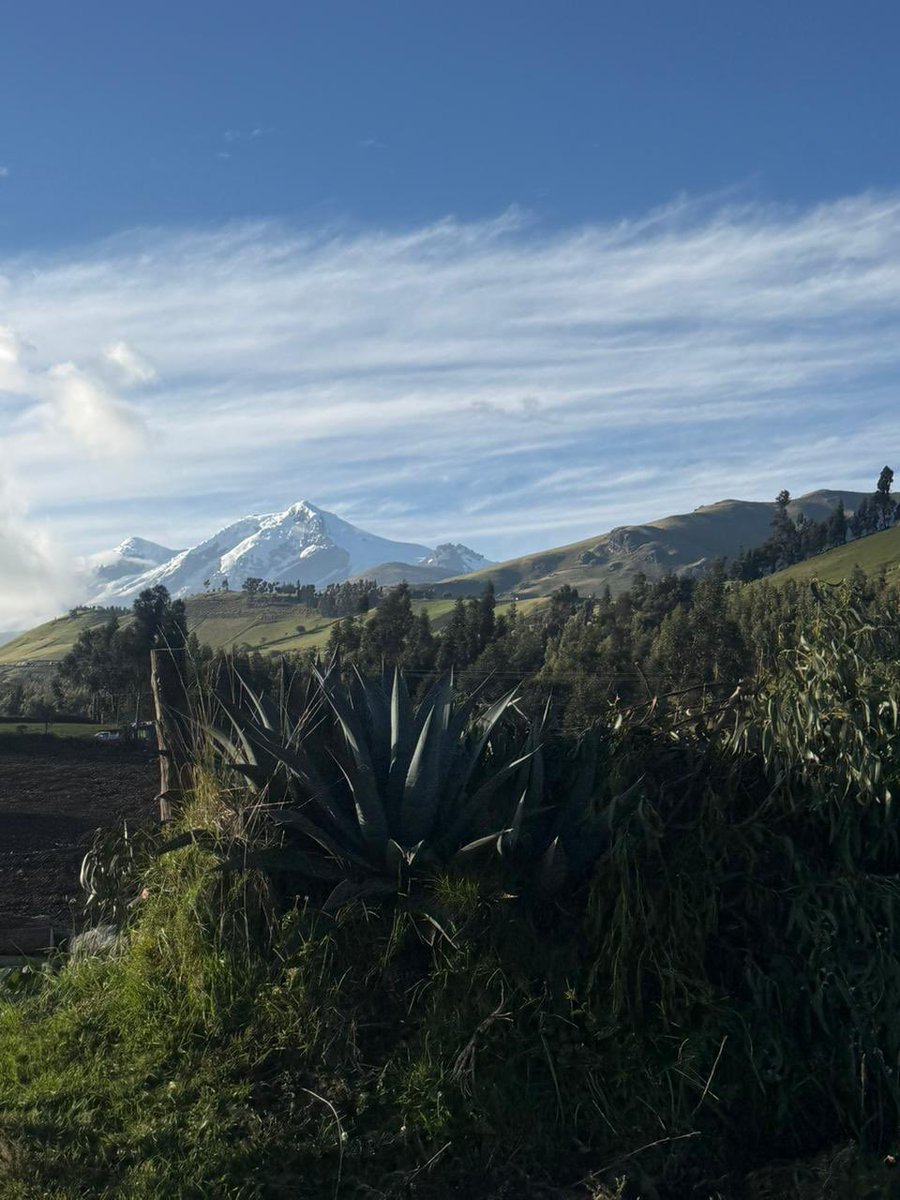 Jessy Freire Manzano tweet media