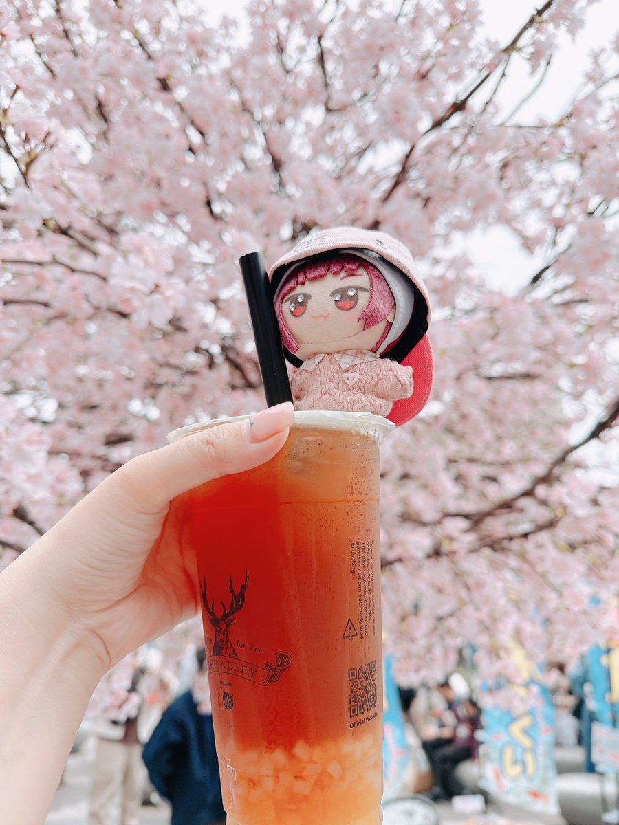 monono1600's tweet photo. 🌸 https://t.co/rlM4j65jei