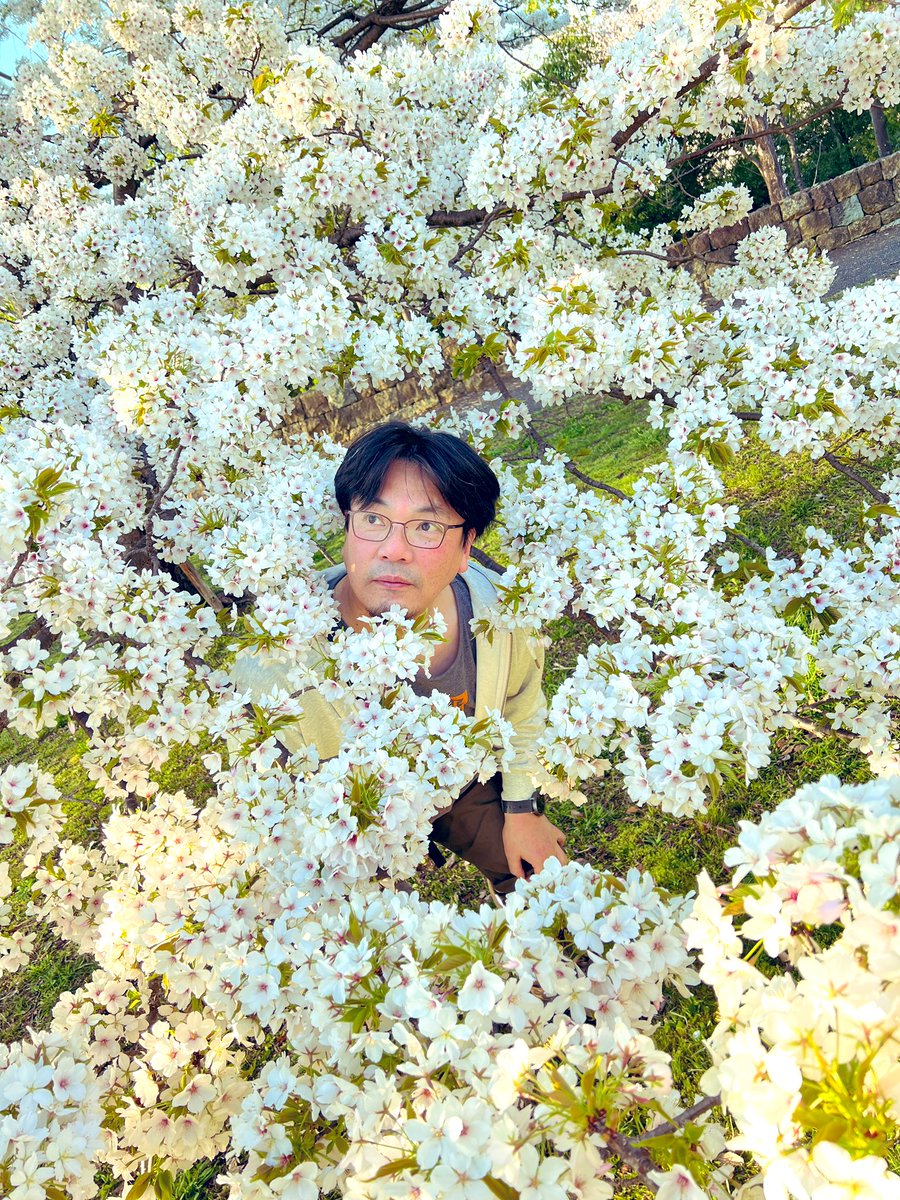 もりべーな おっち(ザンネンズ1号) tweet media