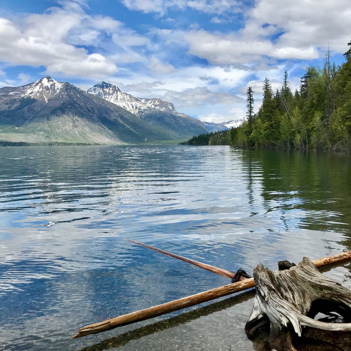 Reilly Neill tweet media