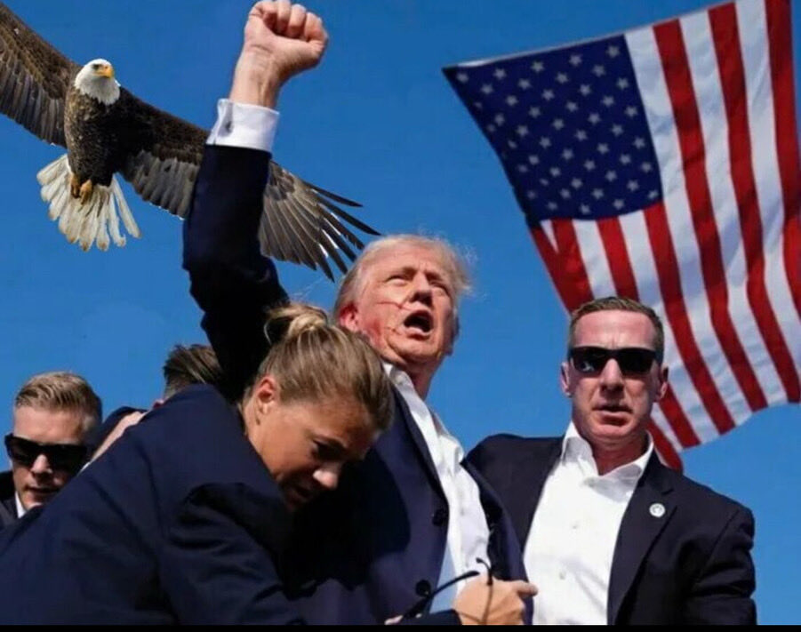 Shadan S tweet media