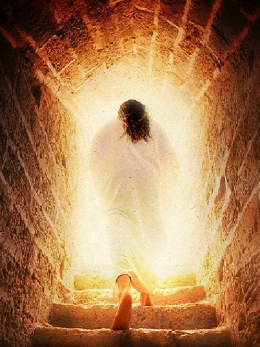 AJ Steel Show tweet media