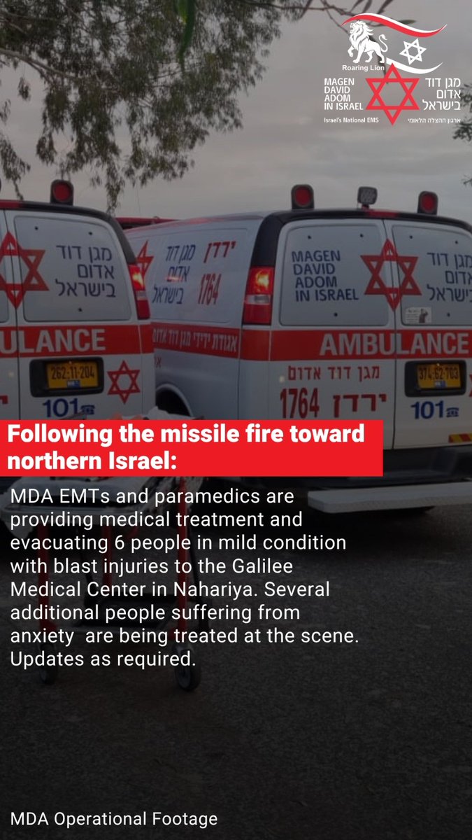 Magen David Adom tweet media