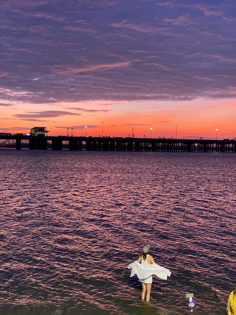 Bellermine Rainer tweet media