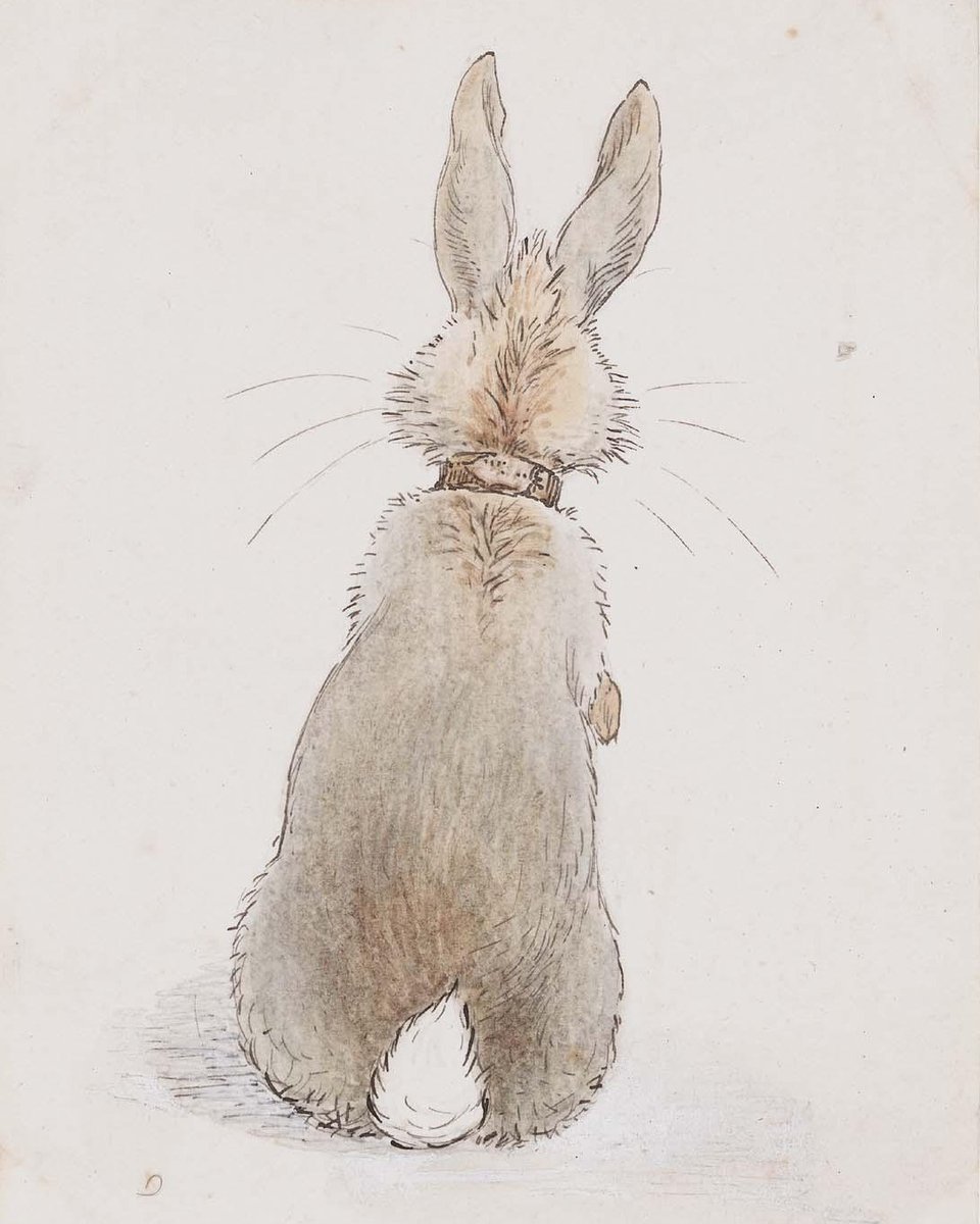 mfaboston's tweet photo. Hoppy Easter! 🐰

🐇: Beatrix Potter, "Rabbit Seen from Behind" (1890s), pen and ink with watercolor and opaque white over slight graphite on laid paper https://t.co/H126Nnp4P1