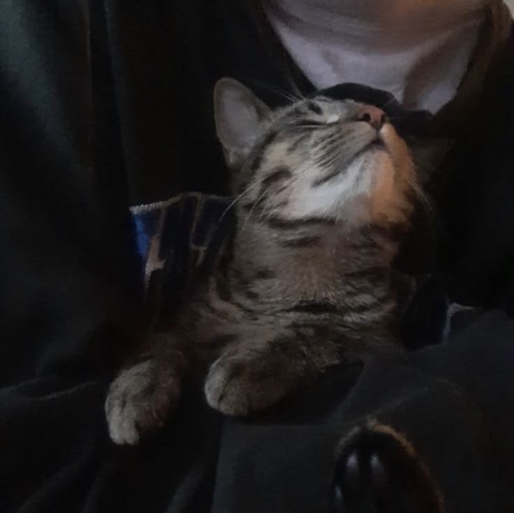 Airport 🪶 🇵🇷 tweet media