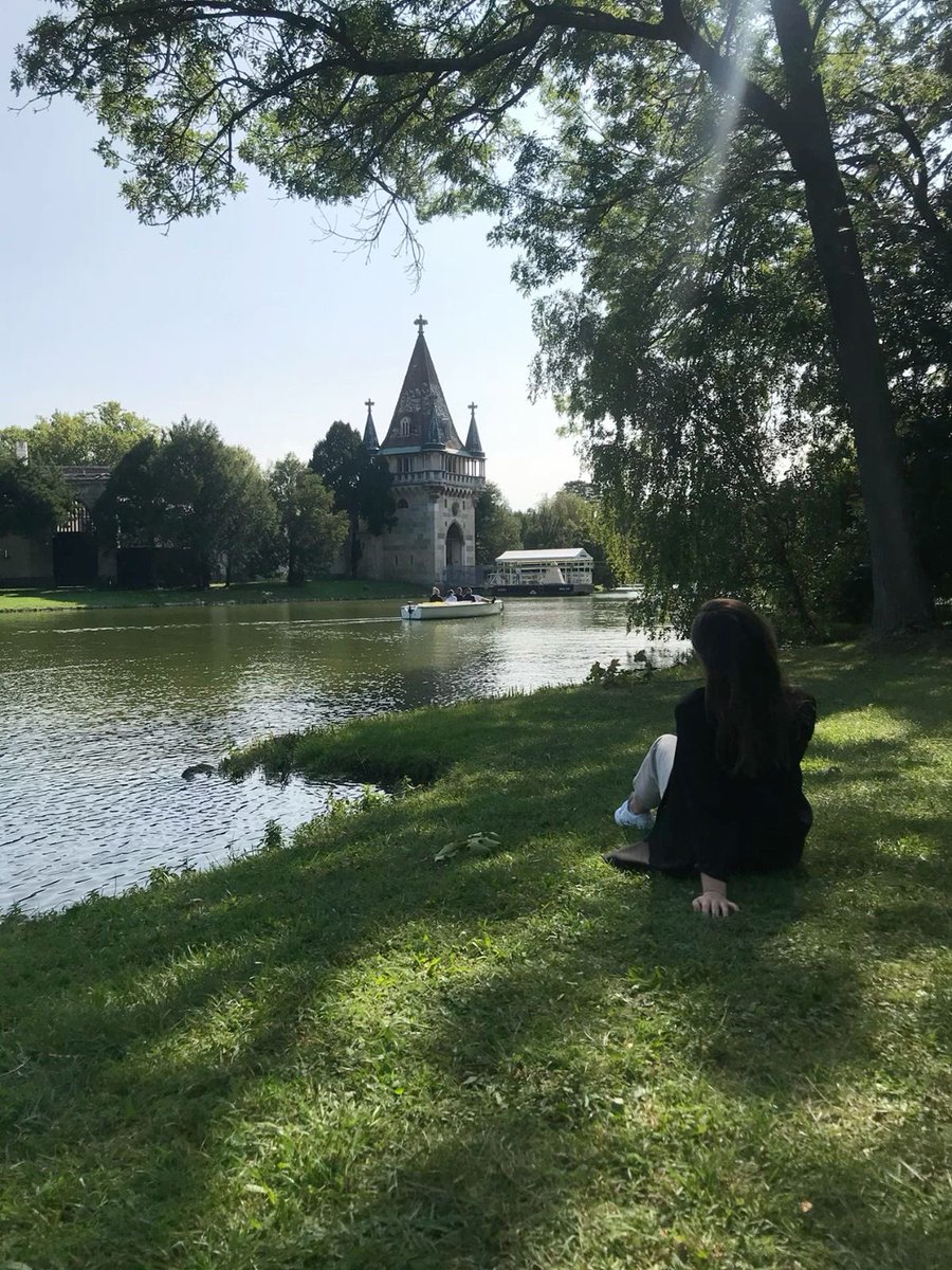 алаа 🪽 tweet media