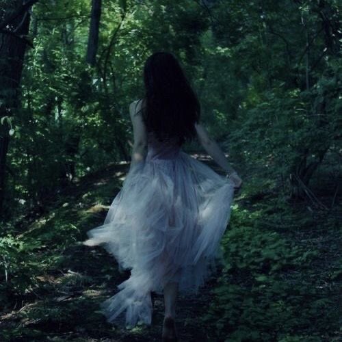 алаа 🪽 tweet media