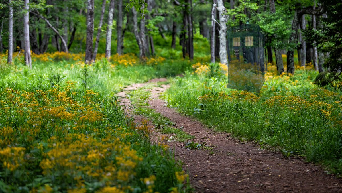 The Duchess tweet media