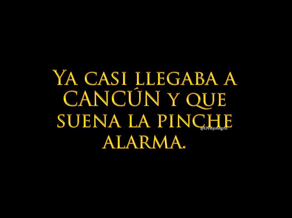 Sara💛🌻 tweet media