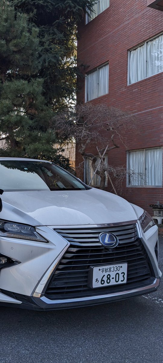 🚙みんなの車とバイクの盗難情報🏍 tweet media