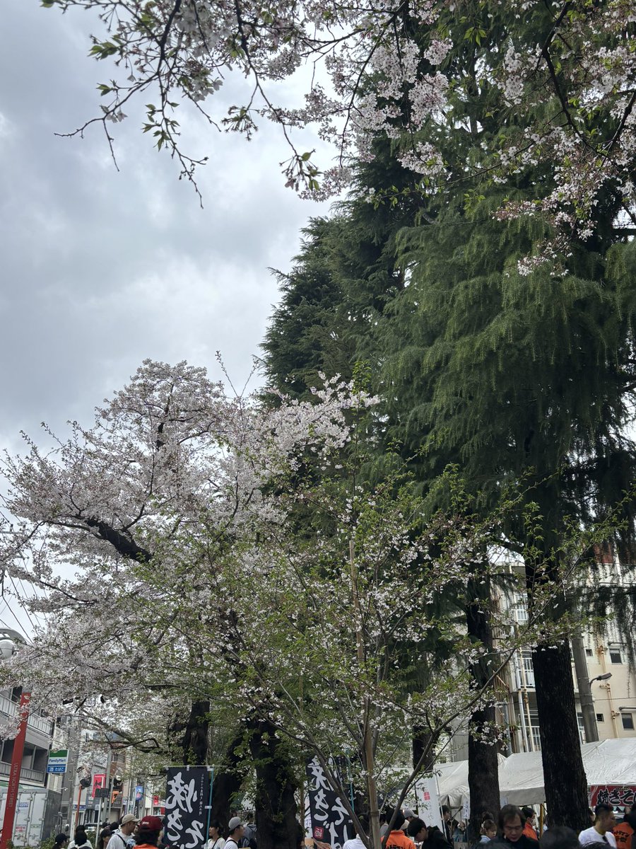 s_ran17's tweet photo. 用賀の屋台村と祖師谷の桜祭り🌸雨降らず、盛況な1日🎉
#世田谷区 https://t.co/rSmPf6pbZb