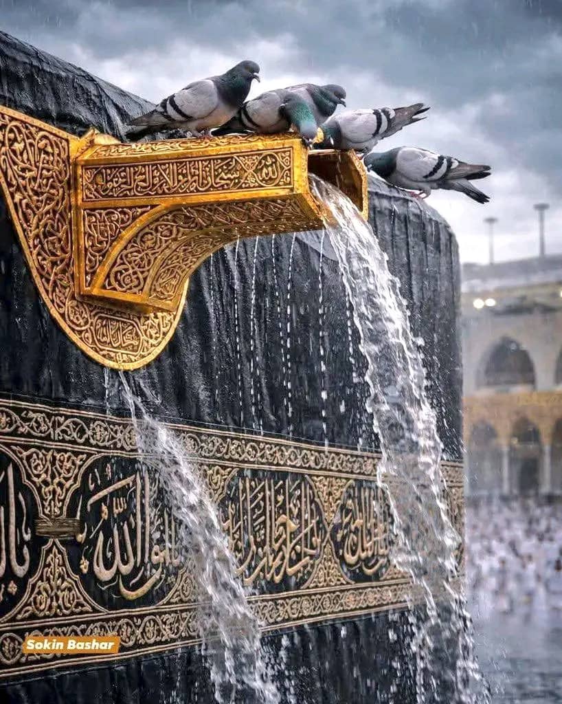 Mustafa Hashimi tweet media