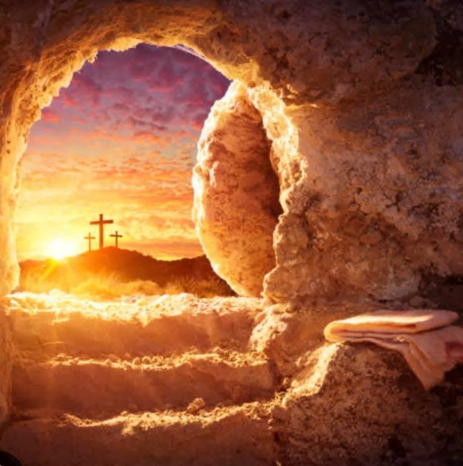 Jay Robertson tweet media