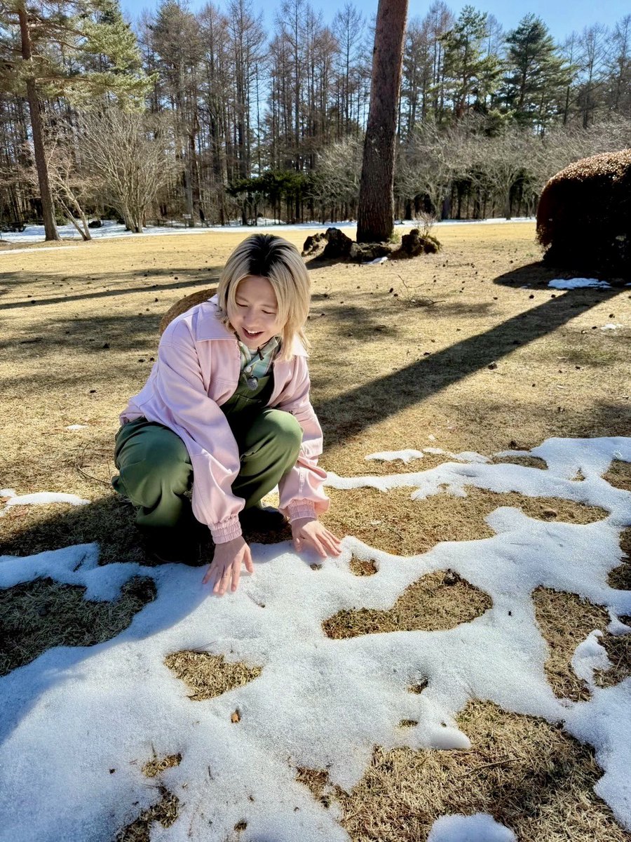 AORINGOHUZIN's tweet image. TBS「バナナマンの #せっかくグルメ ！！」をご覧いただきありがとうございました！
⁡
レギュラー放送としては初回となる
TBS系「テレビ×ミセス」は、4月6日(月)よる8時55分から放送です📺
⁡
ぜひご覧ください✨👀
⁡
🔗tbs.co.jp/tbstv_mga/
⁡
#MrsGREENAPPLE
#テレビミセス