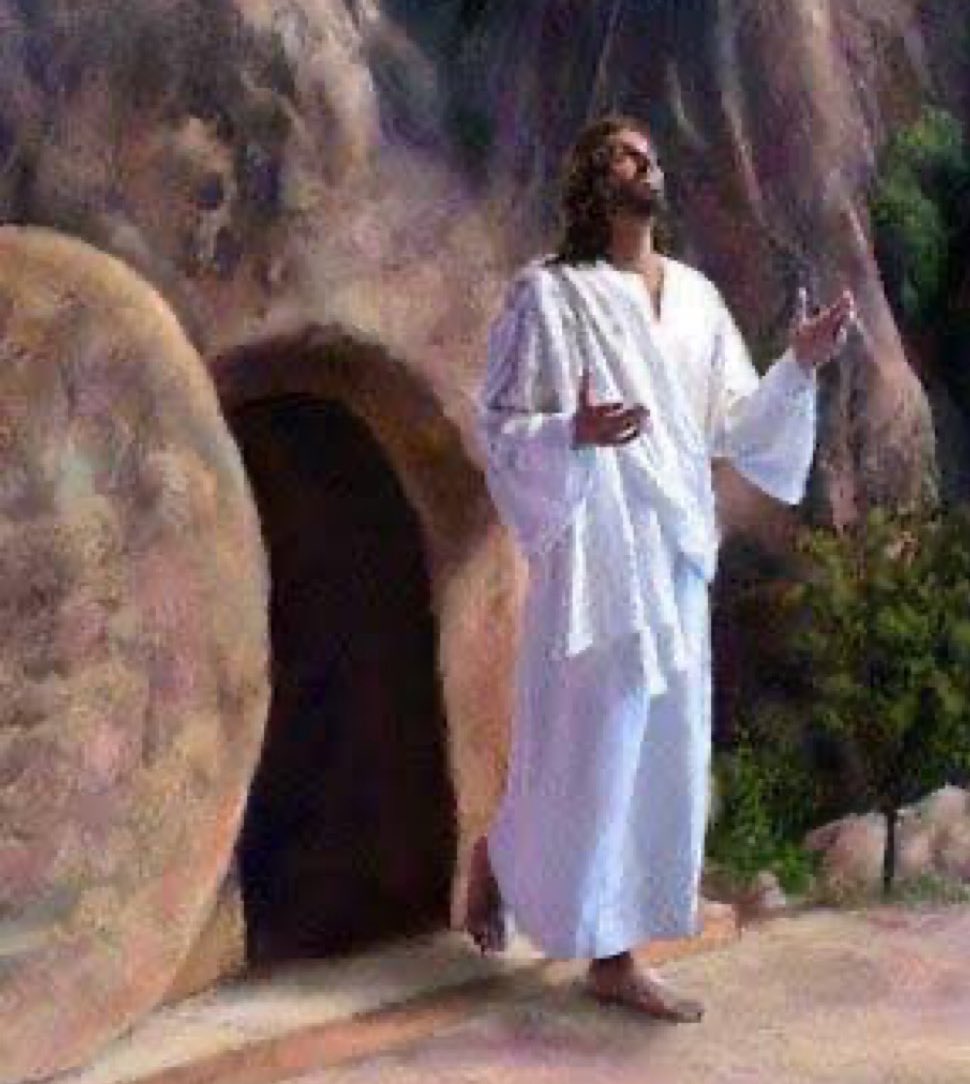 UpdateCharts tweet media