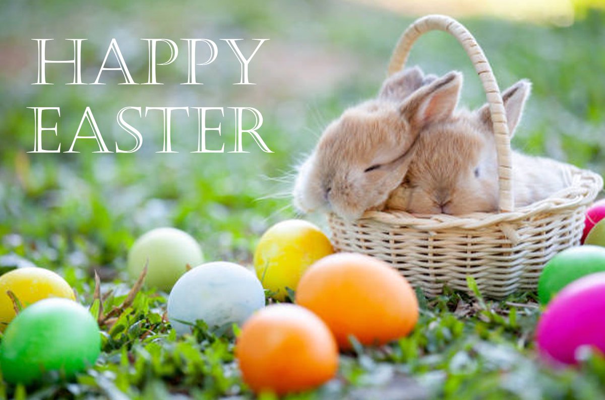 ReganGroupMS's tweet photo. To those who are celebrating, we wish you a Happy Easter! https://t.co/Ap9yMtBJf0