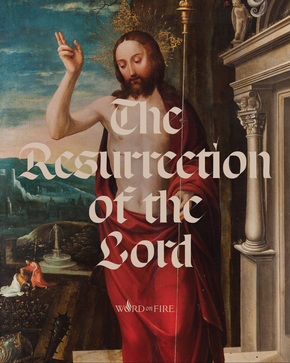 Bishop Robert Barron tweet media