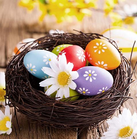 Novica Antić/Новица Антић tweet media