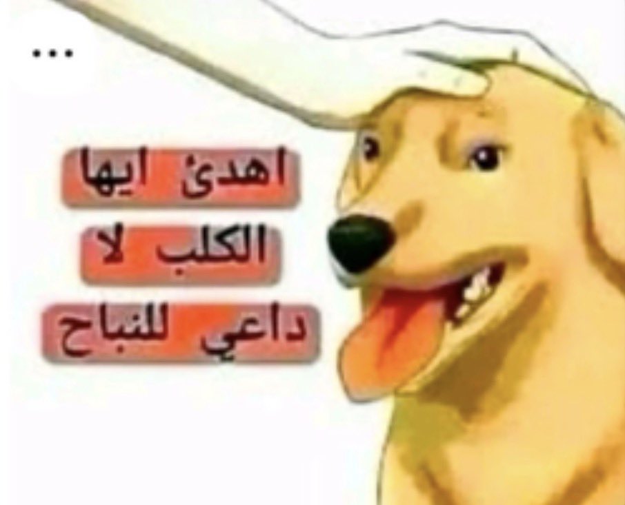 𝐍𝟐 tweet media