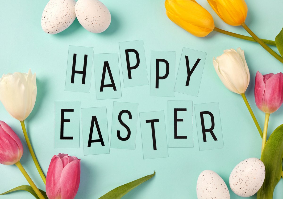 Sponge Outlet tweet media