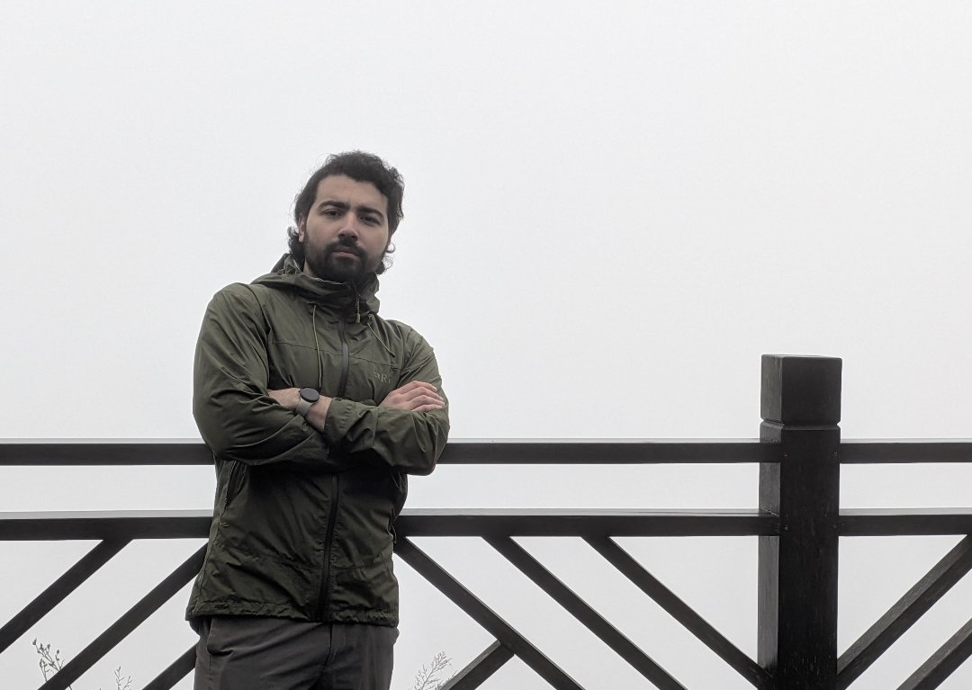 Regelegorila tweet media