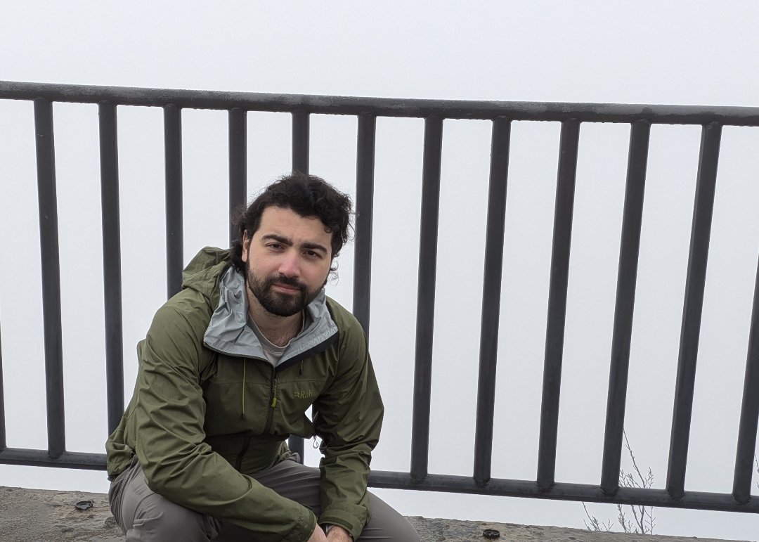 Regelegorila tweet media