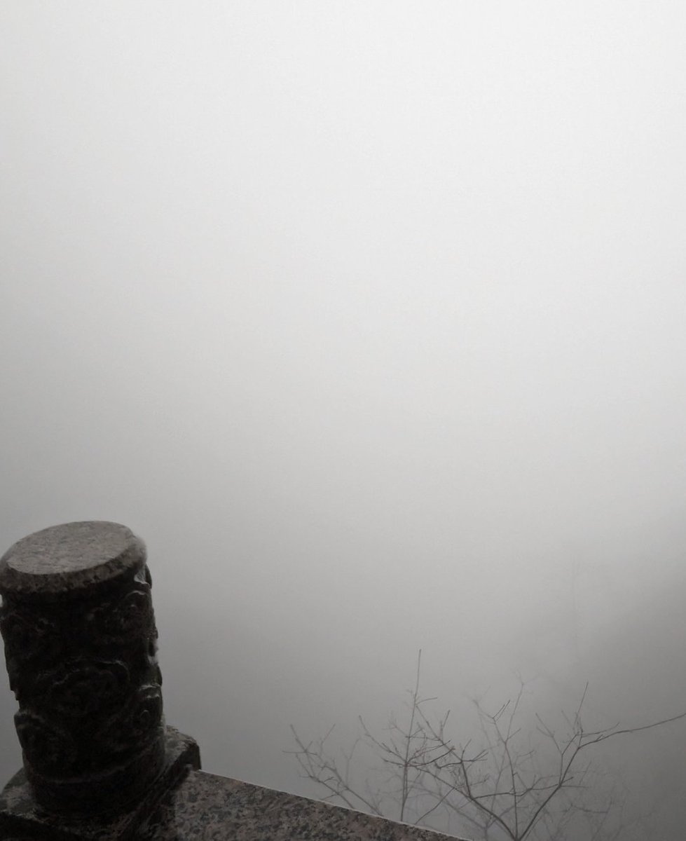 Regelegorila tweet media