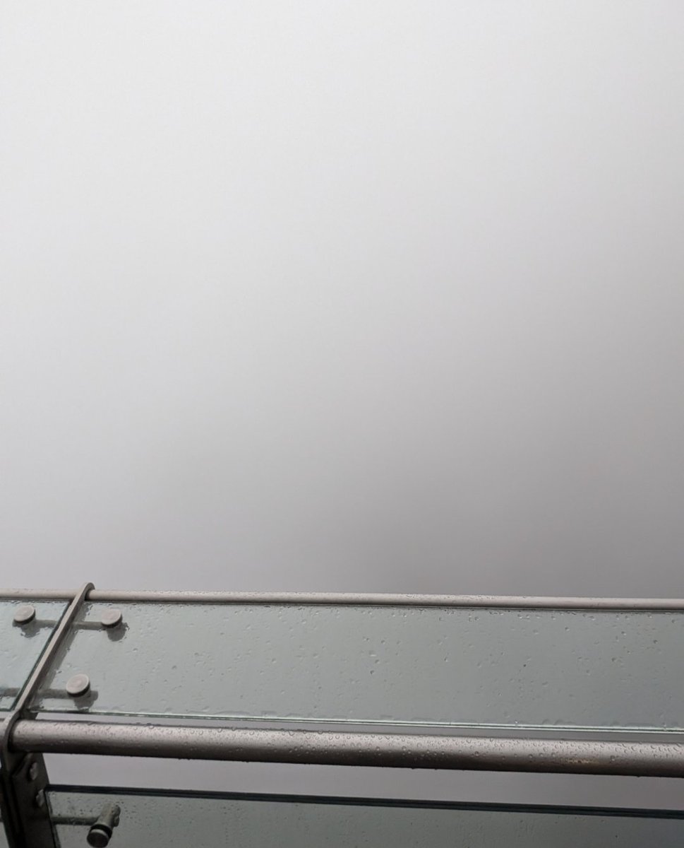 Regelegorila tweet media