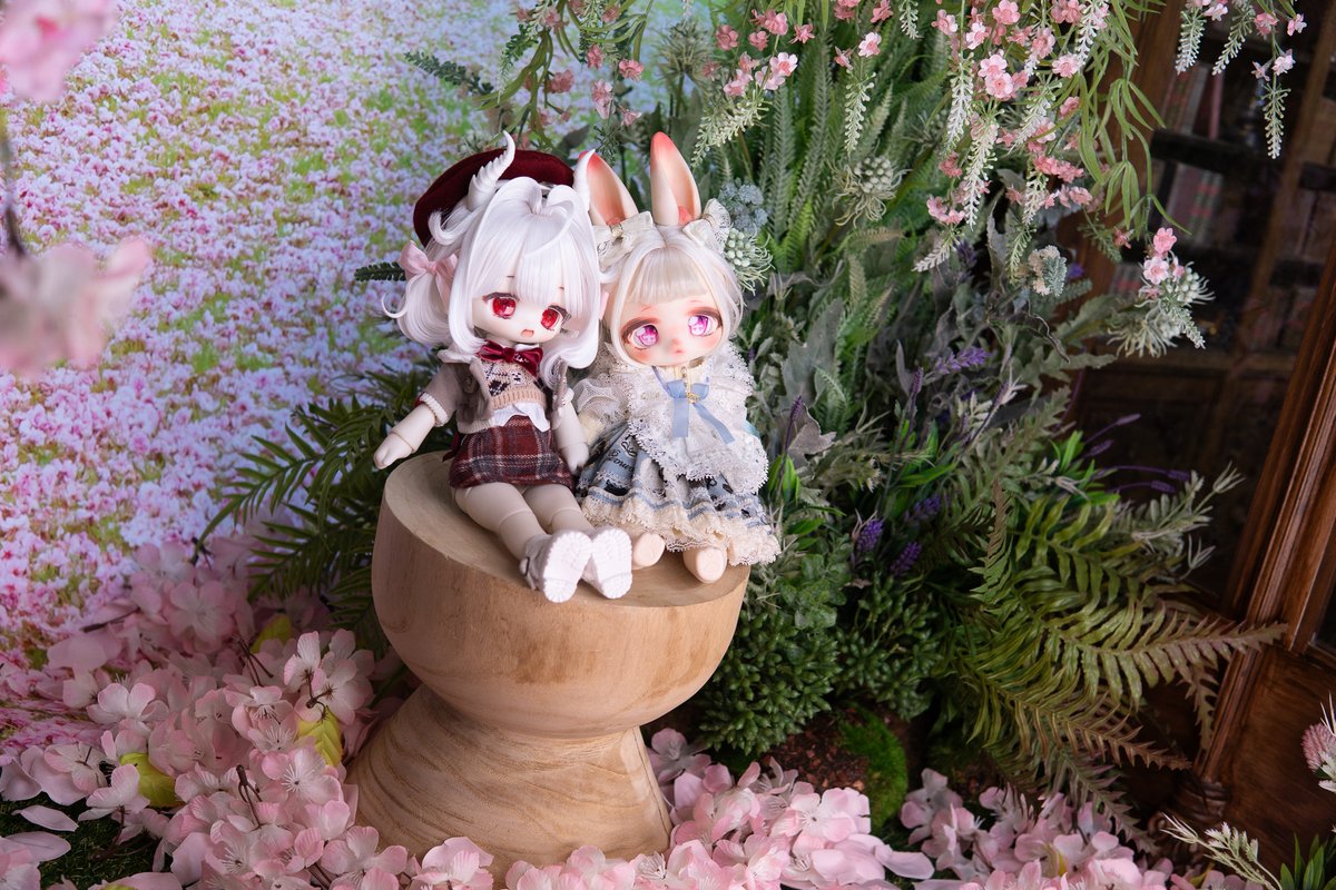 인형개필 tweet media