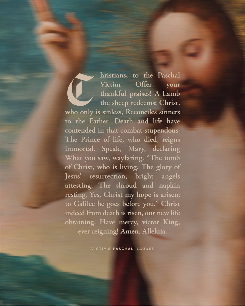 Bishop Robert Barron tweet media