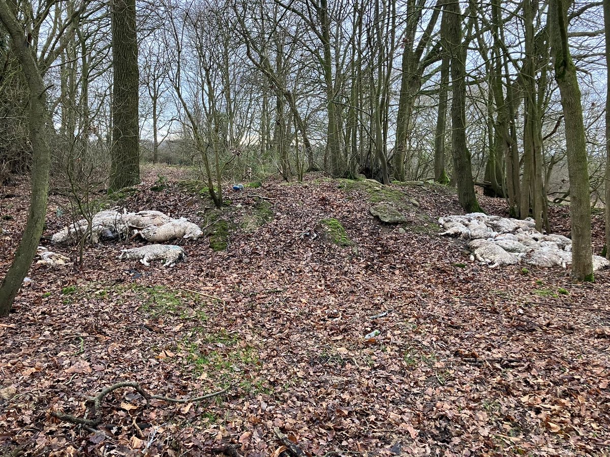 Hands Off Our Marsh tweet media