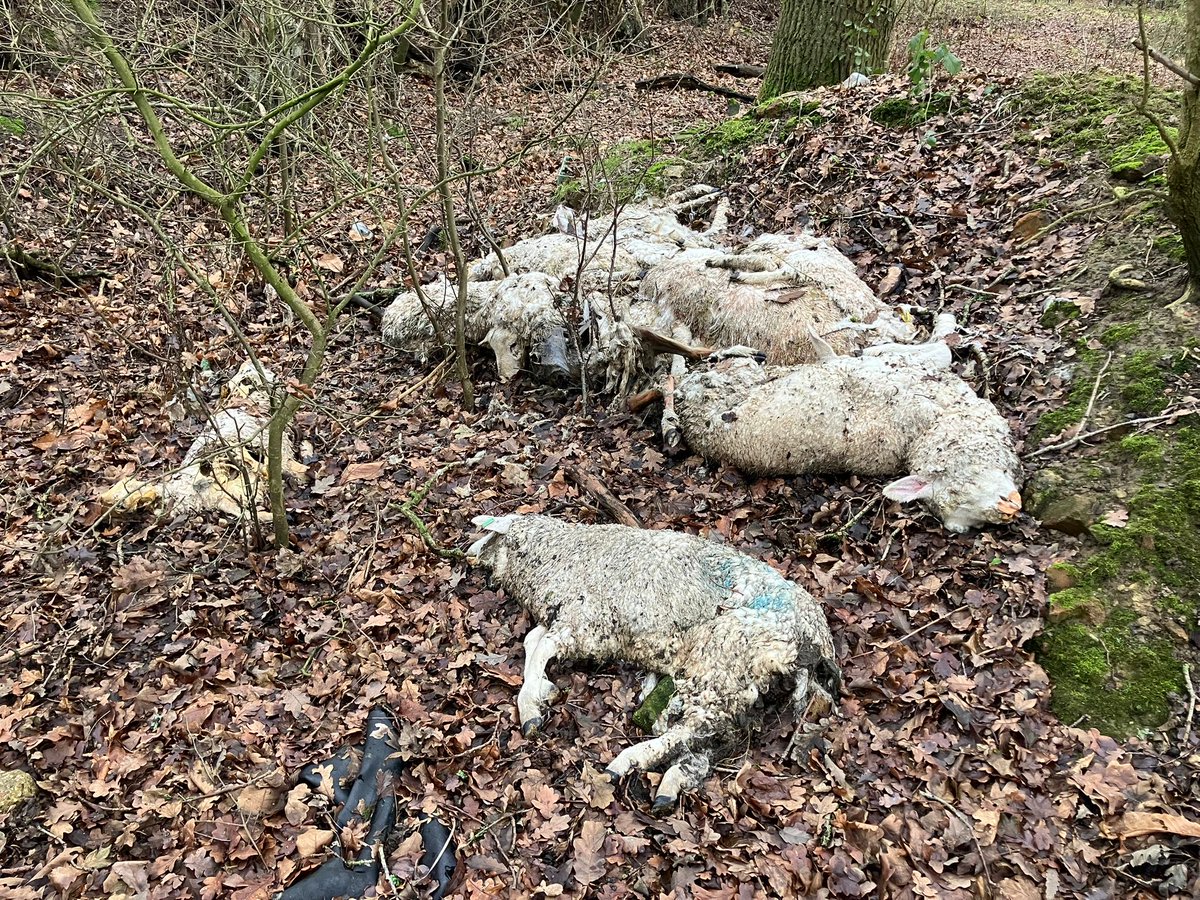 Hands Off Our Marsh tweet media