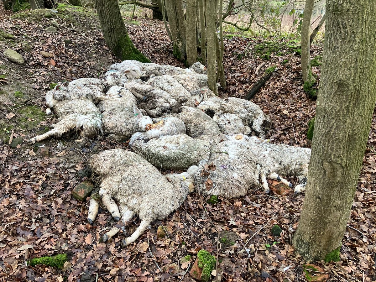 Hands Off Our Marsh tweet media