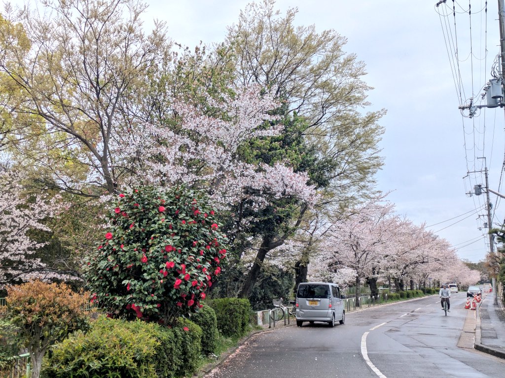 近代建築ニュース tweet media