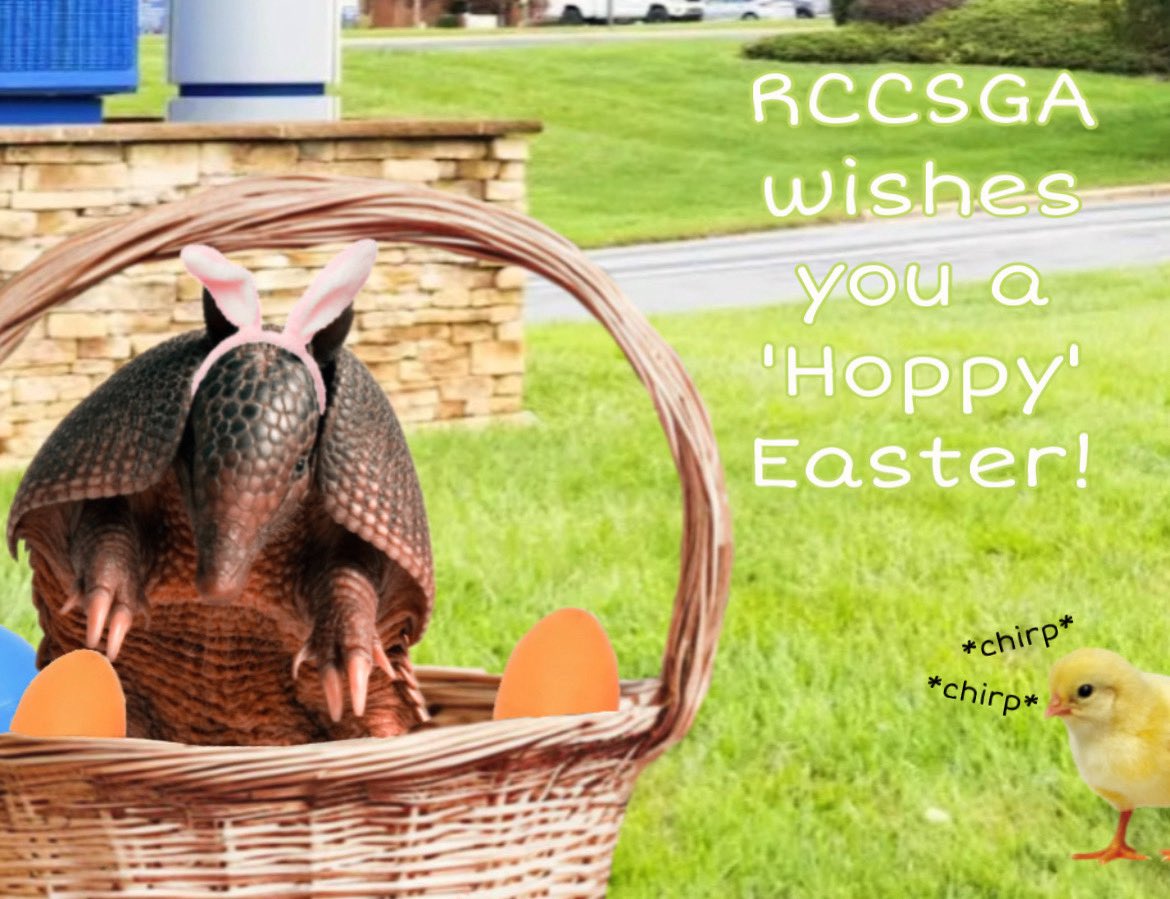 randolphsga's tweet photo. Happy Easter everyone!🐰🐣🍭

We’re almost at the finish line, keep up the good work! For now, gather some much needed rest. 😴

#RCCSGA #RCCProud https://t.co/kmaFruN0mt