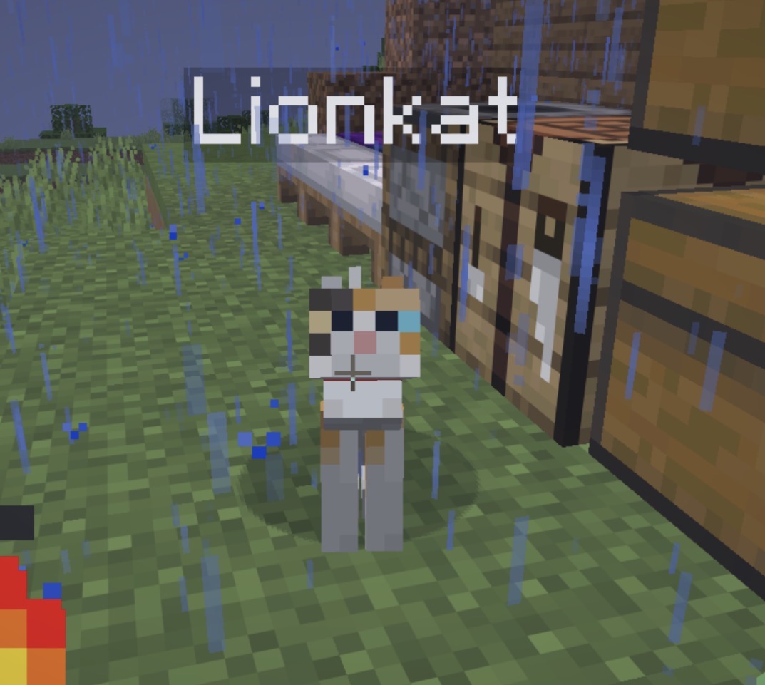 LIONKAT. tweet media