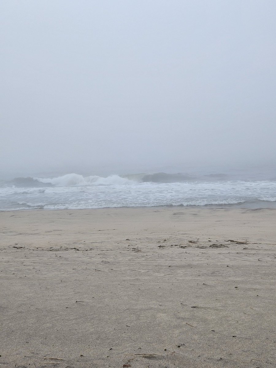 TheHamptons.com tweet media