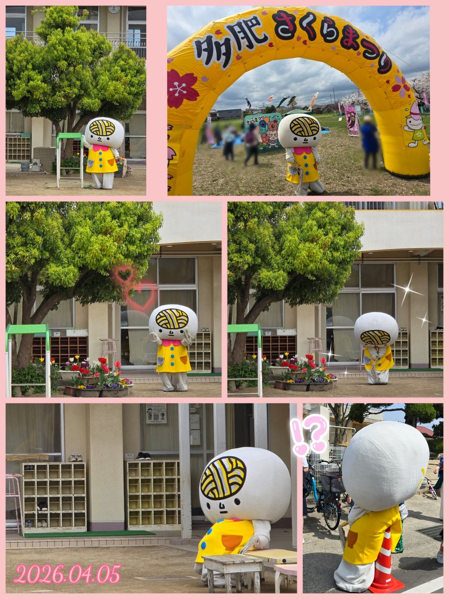 海里🐙🎤 tweet media