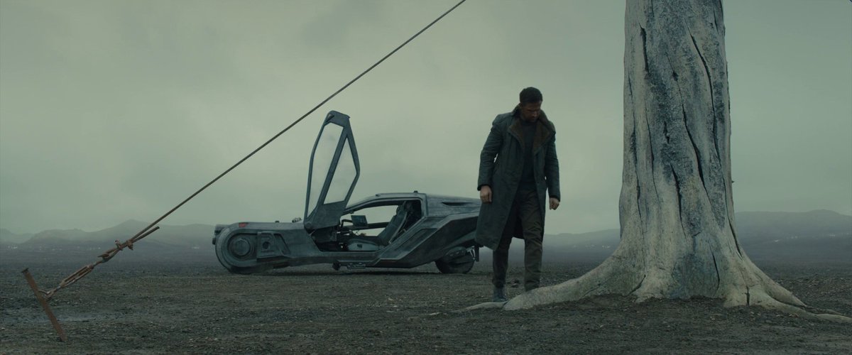 the cinema fella tweet media