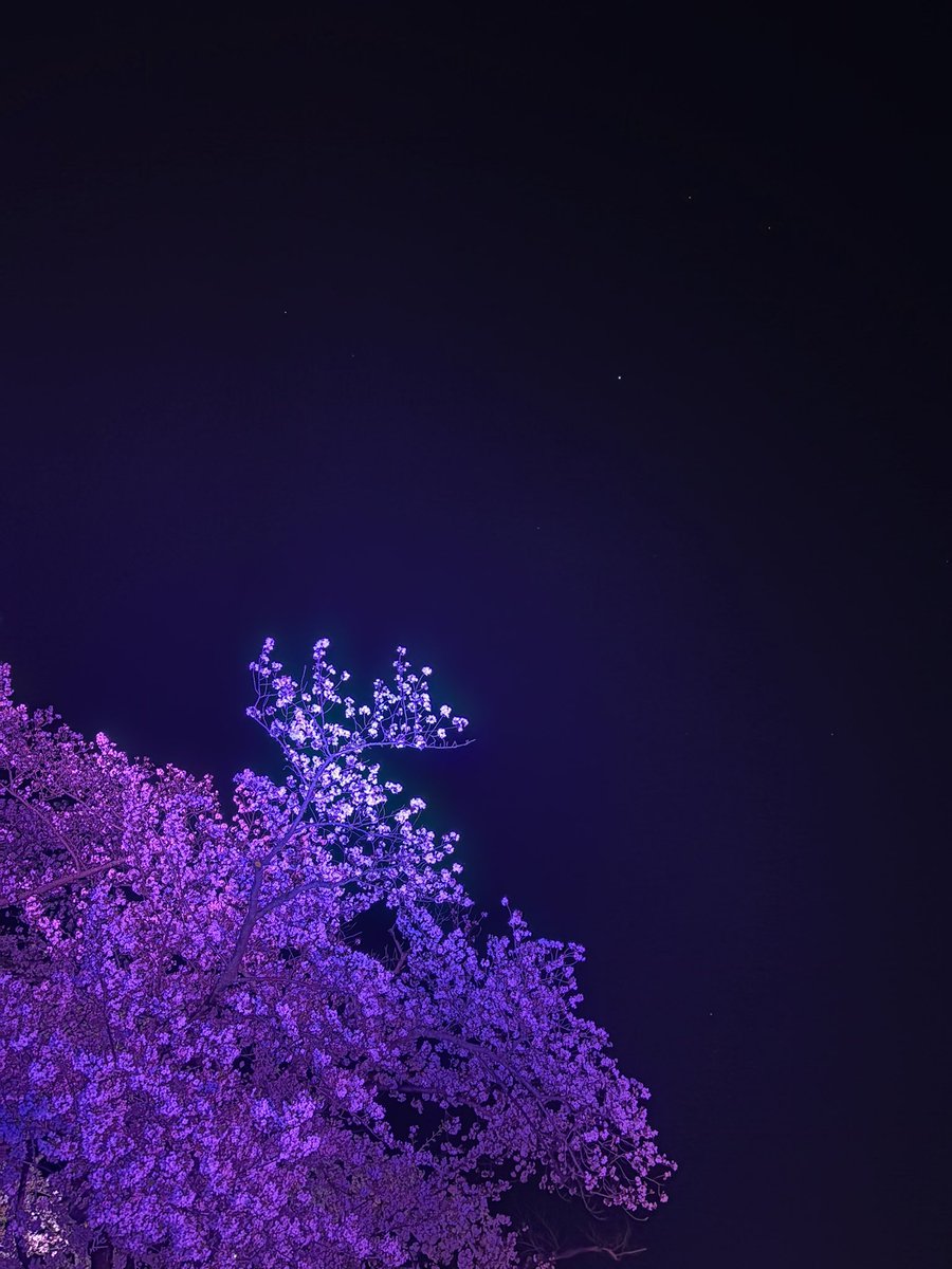 🐾🦁はとあ🦁🐾 tweet media