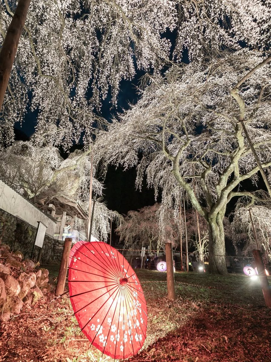 @Nature Escape 🌿 tweet media