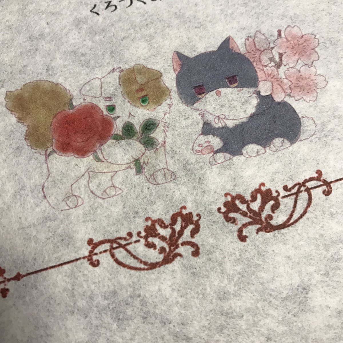 鶫🐦‍⬛chatonnoir3301 tweet media