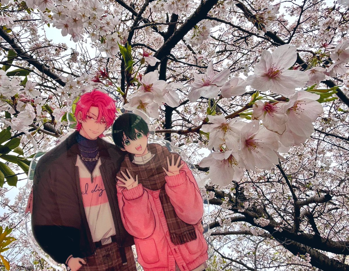 都万子˚✧₊⁎⁺˳✧ tweet media